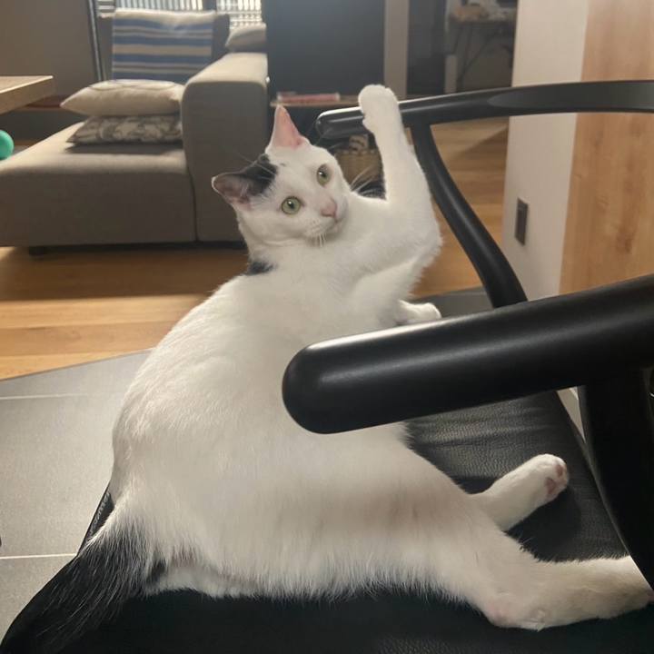 A0d907a1 cb29 4f47 9cb7 d498138f69a8 1751414489246