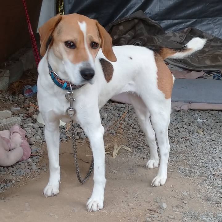 A0d9364e d99a 42ca a6f6 fbf4d6030bb8 1613118519095