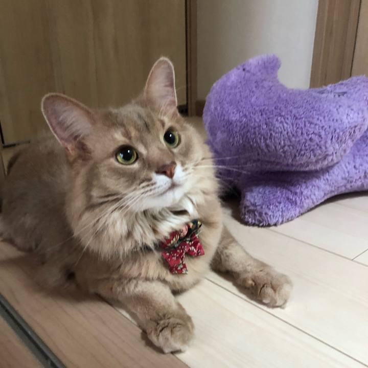 A0d937fa 006a 4e32 9761 32e52f621570 1687997419853