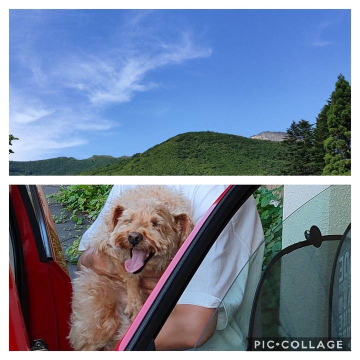 A0d94cfe 2848 4800 9c62 dc47a2406141 1596455578763