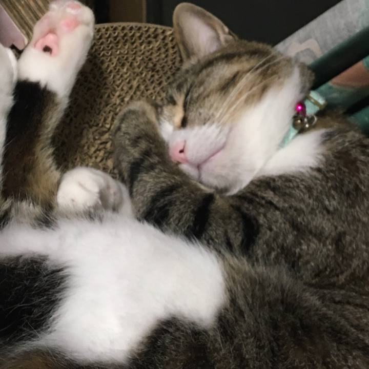 A0d96cb3 1041 4495 9f92 414906271c3a 1698412763289