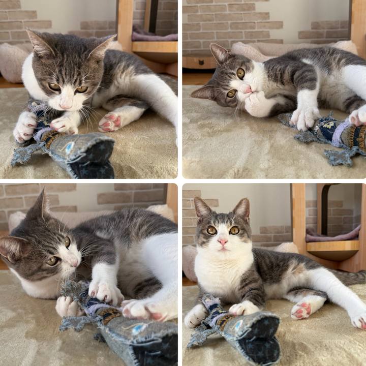 A0d98039 bc56 47c4 bd42 b9df1e482150 1765692864651