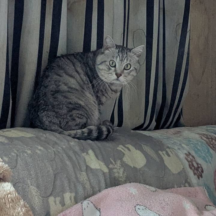 A0d989a8 4987 462b 8407 9b855534de06 1770642679202