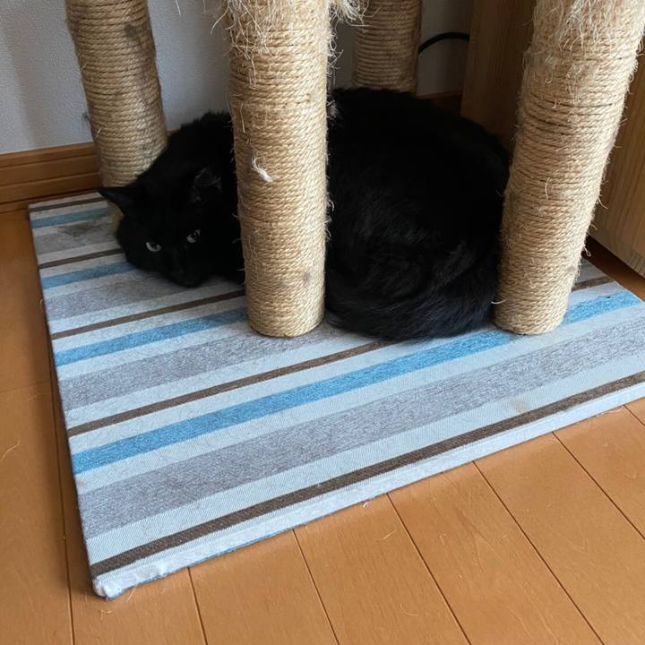 A0d992c4 2c00 45fb 93a7 b9635121687f 1589591570675