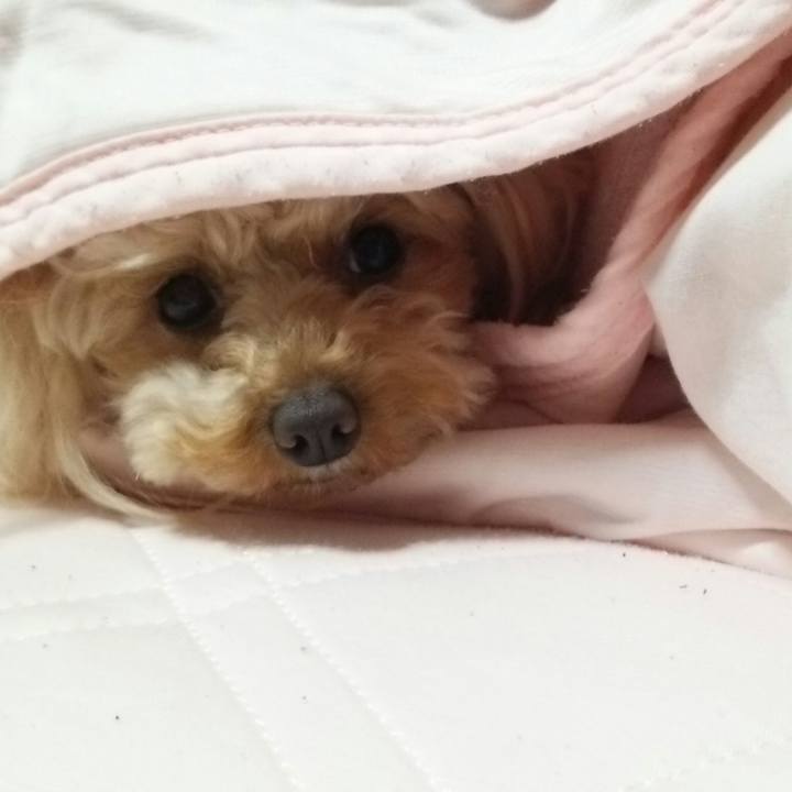 A0d99384 2b5a 4716 b7eb a1f9ce67bc07 1525958989466