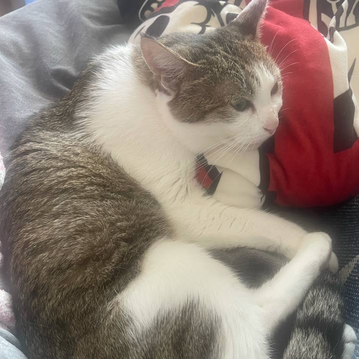 A0d9a4f3 5265 40e6 b0c8 dad1d64fa397 1632278049115