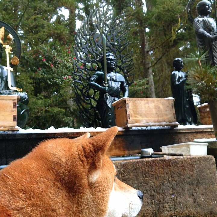 A0d9b47b 03fc 4f10 a947 41d45e50f488 1767078665341