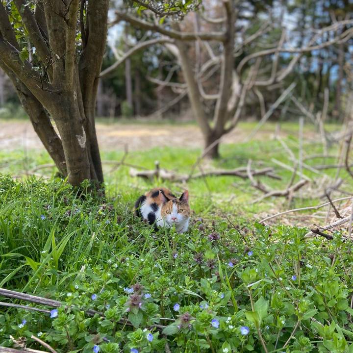 A0d9c3d8 30a1 47d3 9828 7f68a24c580a 1649054849380