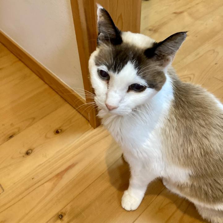 A0d9d55d f9b9 465a b18e 8f9a2147cd2a 1678408145418