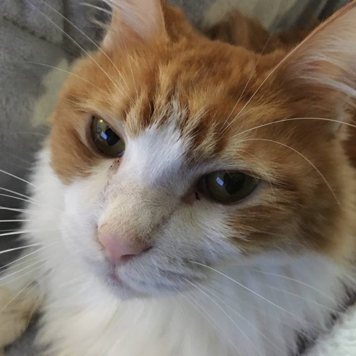 A0da0d45 c50e 4a0a 8332 f97b9e895554 1575086827917