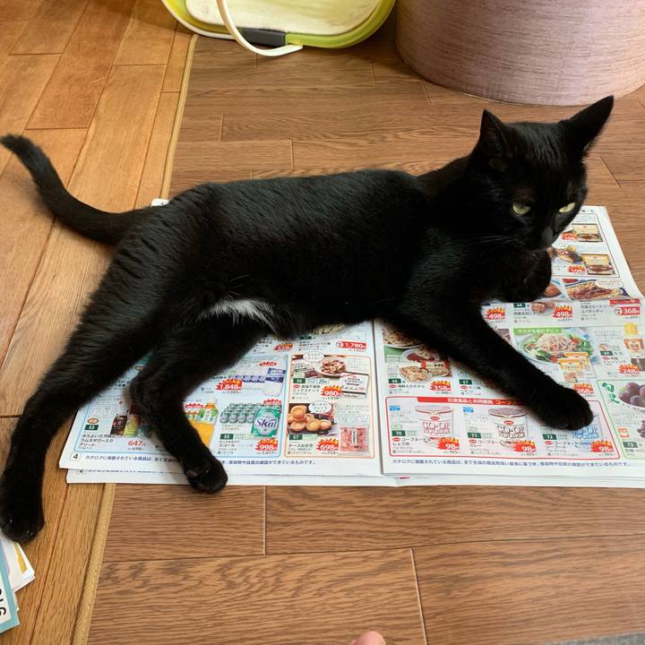 A0da4a35 75ee 4b3f 8abf 367b3138af05 1564809060764