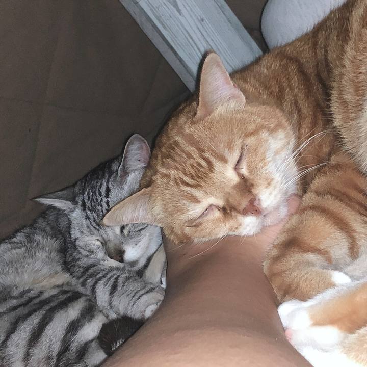 A0da54a3 170f 41e6 ad03 50c0a9834ebc 1585839708977