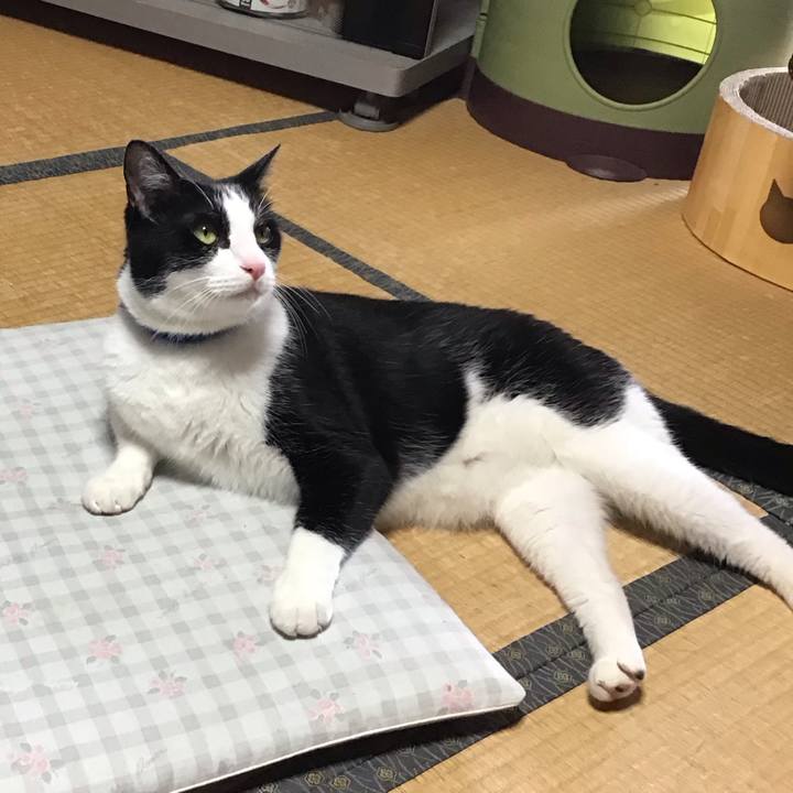 A0da77f1 7cb5 44ba 8dc8 8767c3a07d2d 1752480003232