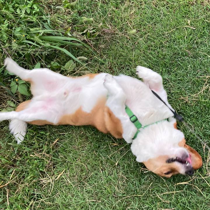 A0da8a46 a85a 477d b91f 52f1b9b87bb1 1696289552178