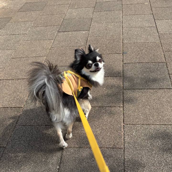 A0da9ec4 dade 4a36 9d06 6805a2bfff65 1745081081531