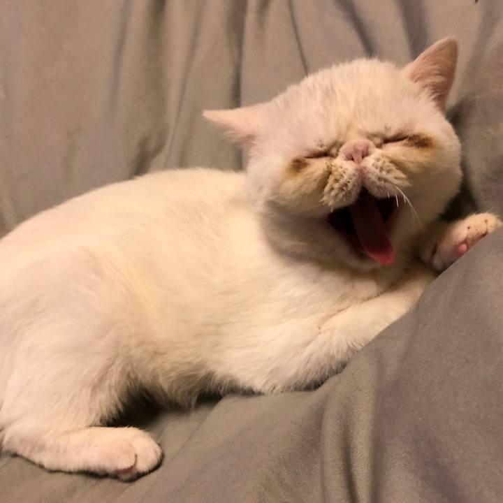 A0dadbba 7b44 43cc 964c 9d77e6505762 1549162713964