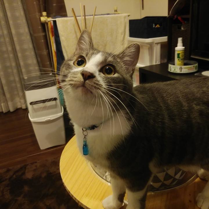 A0db1ad7 805e 48e6 aa9b f9f5a6c26130 1580309413322