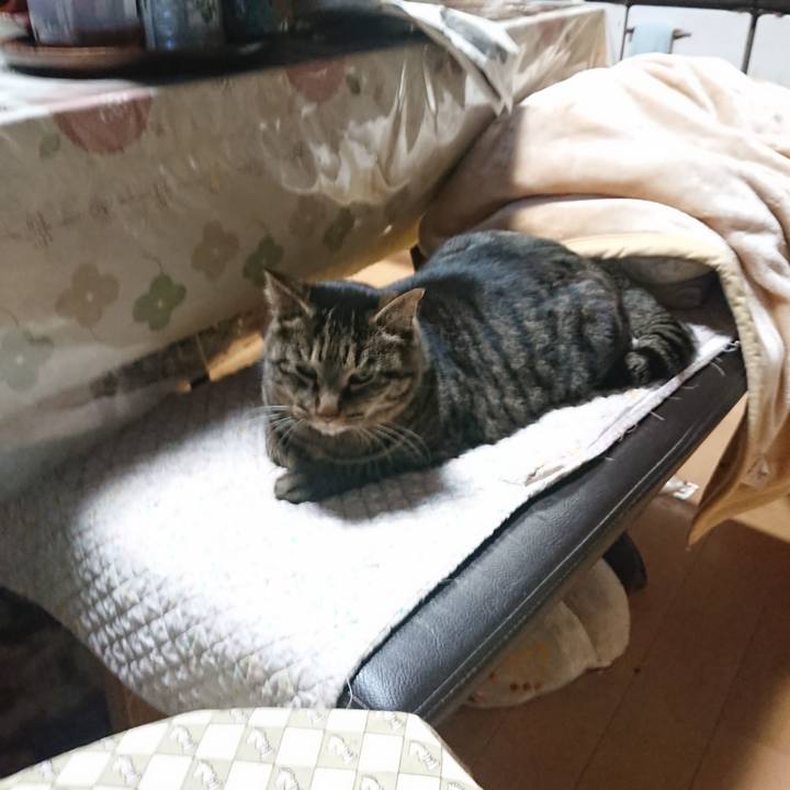 A0db1dd9 66aa 4750 b863 0c30a73de762 1642158175716