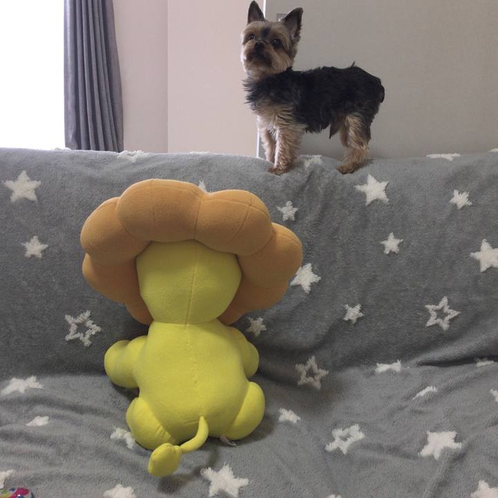 A0db20e7 7c3d 49d2 933a 89e39c937119 1586010002680