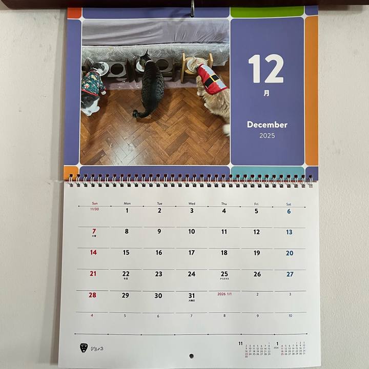 A0db289f 00a6 4804 bcd8 3b38e826a628 1765765164352