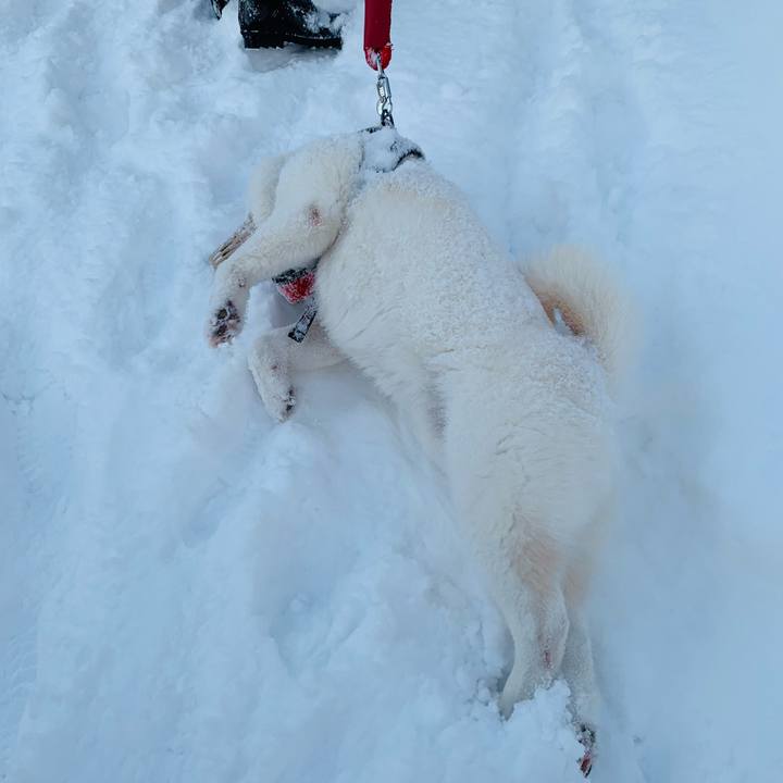 A0db4d25 8008 4230 82aa 32bc2cda8bc6 1676931564961