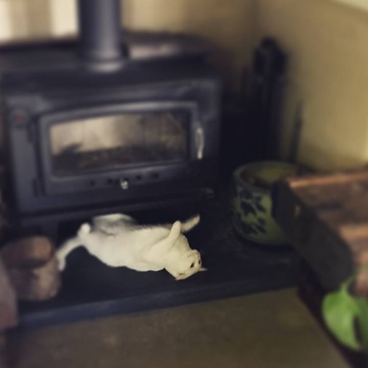 A0db5238 1248 4f22 96e8 c19b1bd9de9b 1507696269347