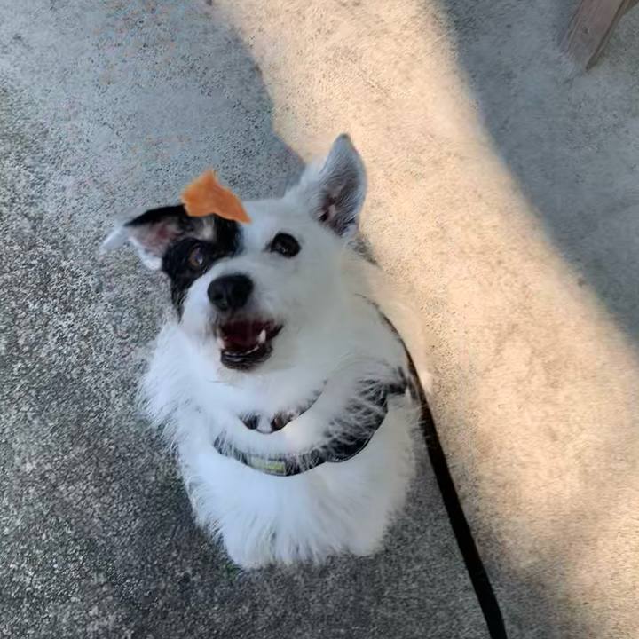 A0db5a8a 98b6 463c ac46 2f4bb3915ce4 1751497030501