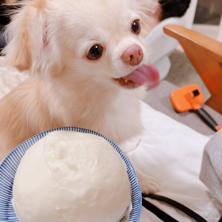 A0db6a27 7717 48ce b84d 91e5e5293c80 1666525003290