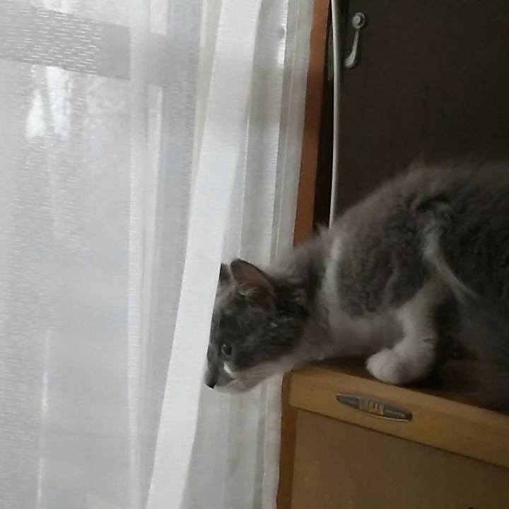 A0dbb07d af0c 415a 9e3b 224df1ac27ec 1564271351968