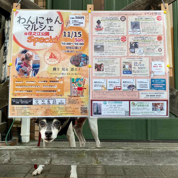 A0dbd195 d7d8 404e b342 ae23a64aec92 1603925903811