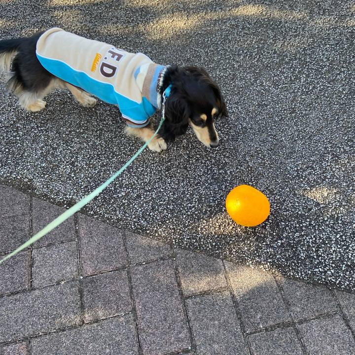 A0dc2358 437e 4580 a9b0 6e48d3ffdda7 1739440761757