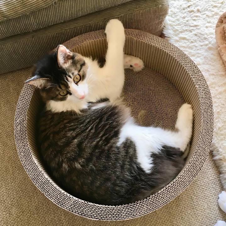 A0dc4592 e000 4954 9c4b 4ba7d505b4dc 1510235550501