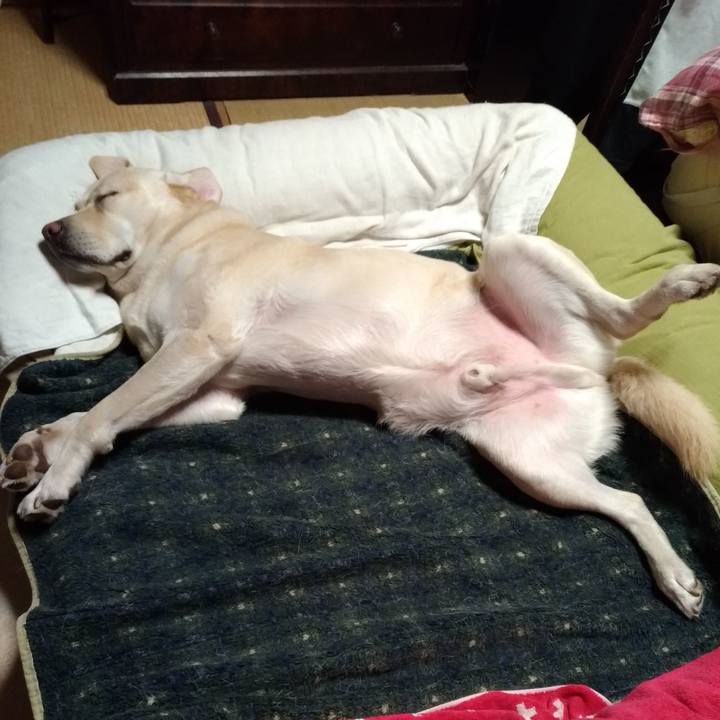 A0dd87f1 594e 4b94 b14c cd8167d244b5 1605840980823