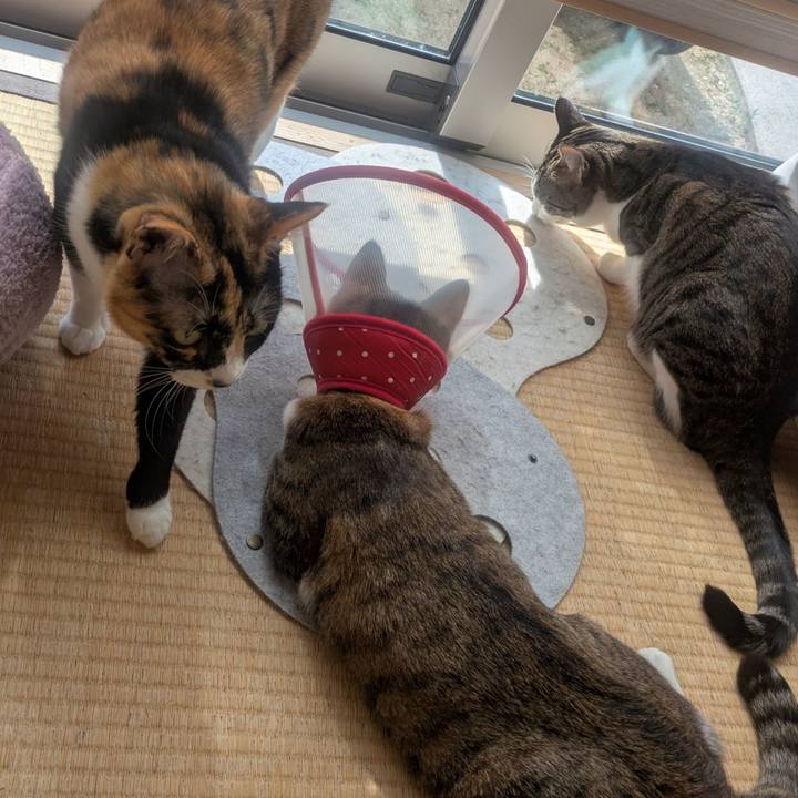 A0dda0eb 91f9 4cf6 80a1 9e97d693554d 1753936166132