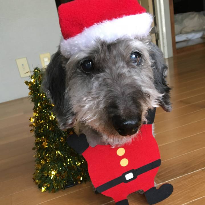 A0ddae44 aabf 4e4a 80b2 0c4b8e8027e2 1734763460828