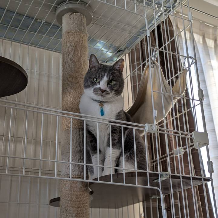 A0ddc8a7 2441 4b69 9fed 1334b648d8bc 1742466721508