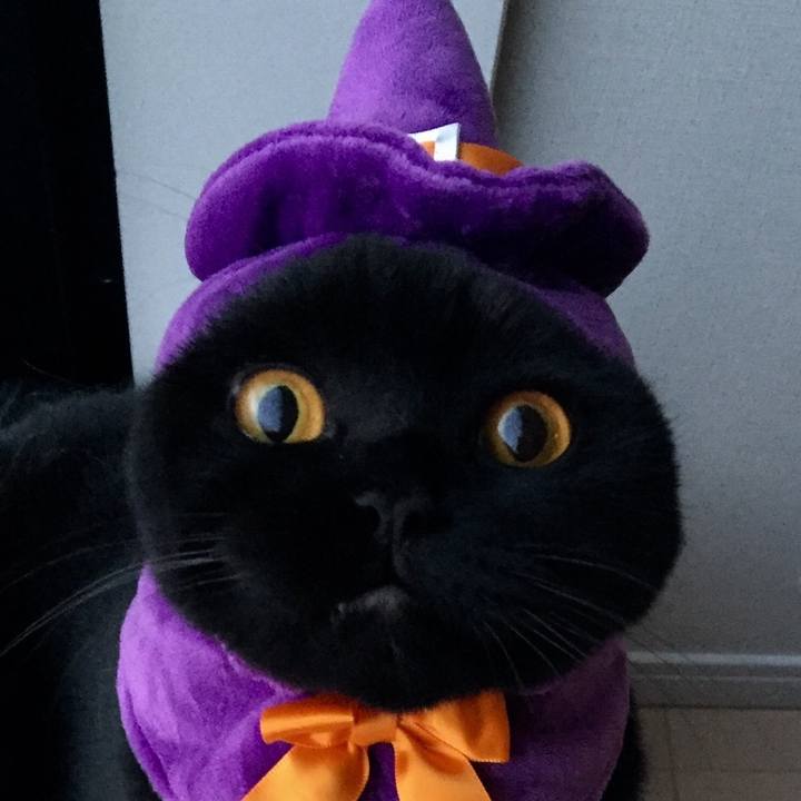 A0ddc919 7b48 4405 8d42 8d12fa9d7d17 1509400665216