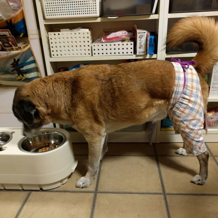 A0ddd3da bd67 4da1 8c07 2fbaa887c163 1518136239884