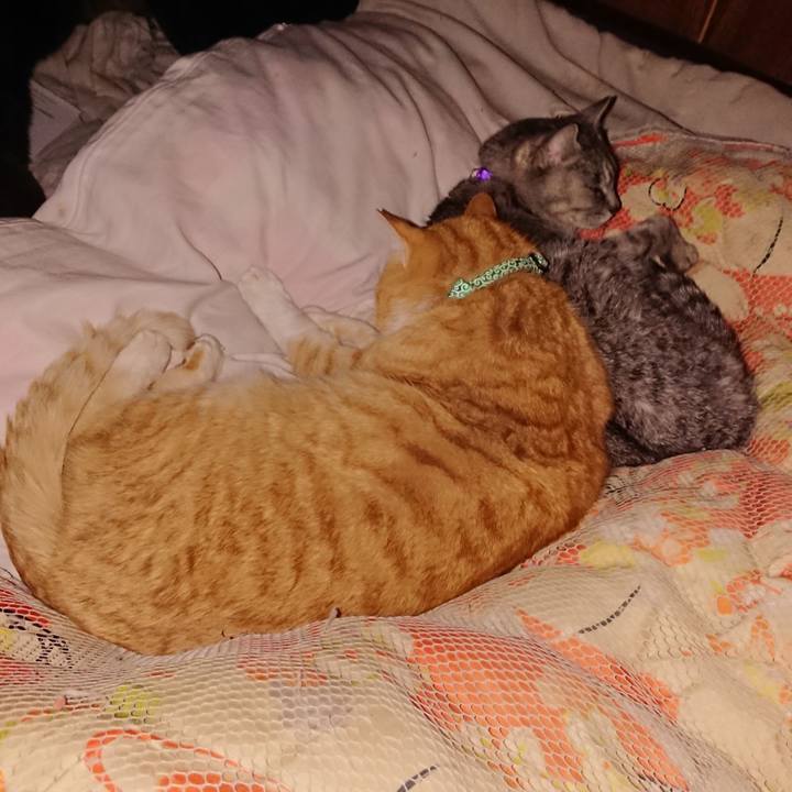 A0ddd6de d6a9 44fd aa51 ec59c3d2a7c2 1581266448863