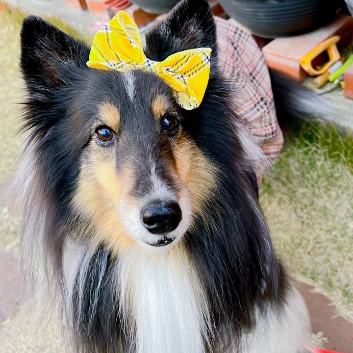 A0ddde34 39e4 4eba ac5d 3dbb45569597 1641753016752