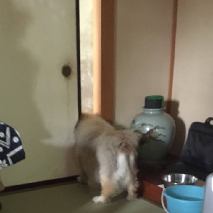 A0ddfb65 c2d0 457a 805a 4dd886bd695f 1557805708412