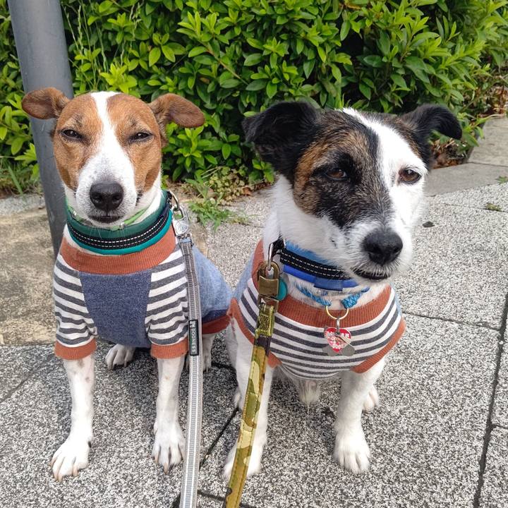 A0de023a d650 49d2 a227 28327ee93021 1686180291872