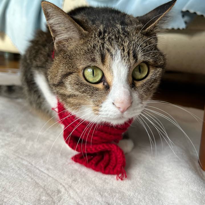 A0de390e d4b7 4745 8d8e 811e673d403b 1736172390243