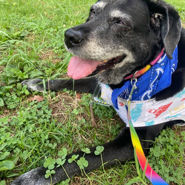 A0de4937 d9b7 41a5 8ddd 217159aea1eb 1692582599218