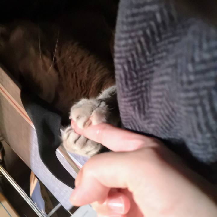 A0de69b2 3899 4a7e 96d5 060dbadd5d73 1559603642437