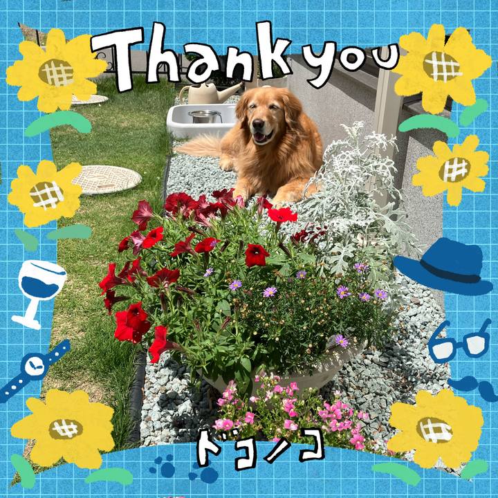 A0de8334 9885 47b4 866c 4338c448e18a 1717983892098