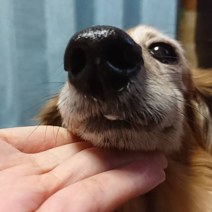 A0de93f4 a184 4d24 a049 184e5fcda5b7 1515747682083