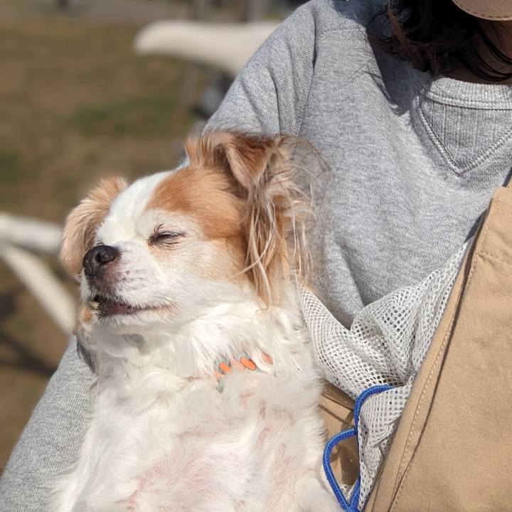 A0de982a b4b8 41b3 af30 fff3d14b05b5 1678514585130