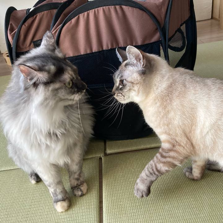 A0de9f9e 1f79 414c 9895 b5ef134eca82 1741483397952