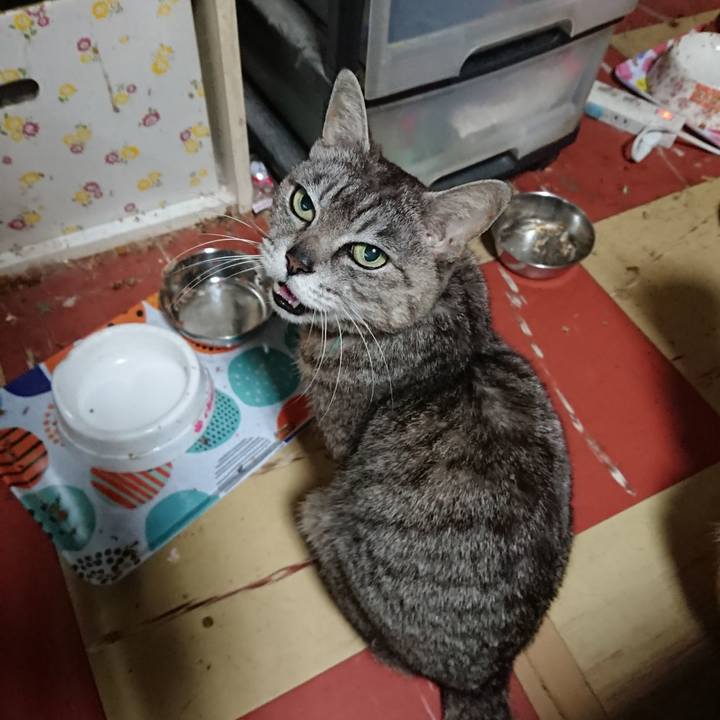 A0dee855 87dc 4071 9e0a 993f3eec00a9 1561579339636